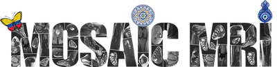 MosaicMRI featured image