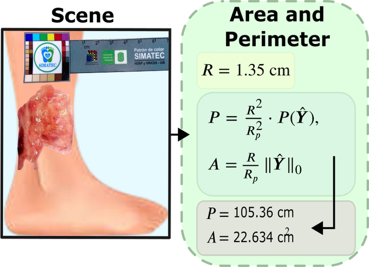 Automated Chronic Wounds Medical Assessment and Tracking Framework Based on Deep Learning featured image