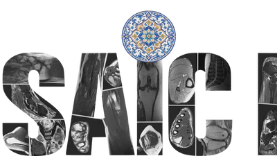 MosaicMRI: A Diverse Dataset and Benchmark for Raw Musculoskeletal MRI featured image