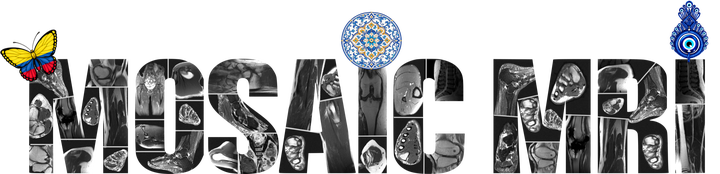 MosaicMRI: A Diverse Dataset and Benchmark for Raw Musculoskeletal MRI featured image